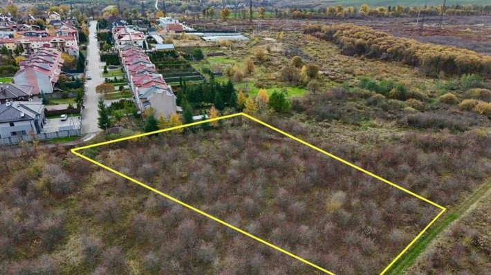 Земля / ОСГ / Солонка/ Львівська обл. - фото 1