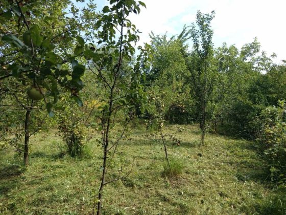 земельна ділянка(сад) в м.Самборі ,вул Шухевича, в районі кам'яного моста, 2 сотих Самбір
