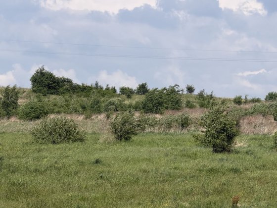 Продам Милошевичі  Пустомити 40 сотих Пустомити