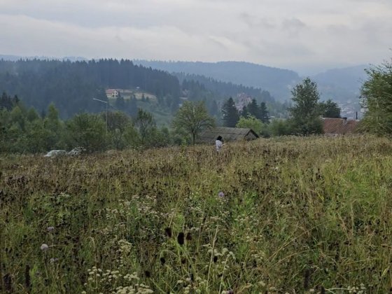 Продаж видової ділянки в Східниці Сходница