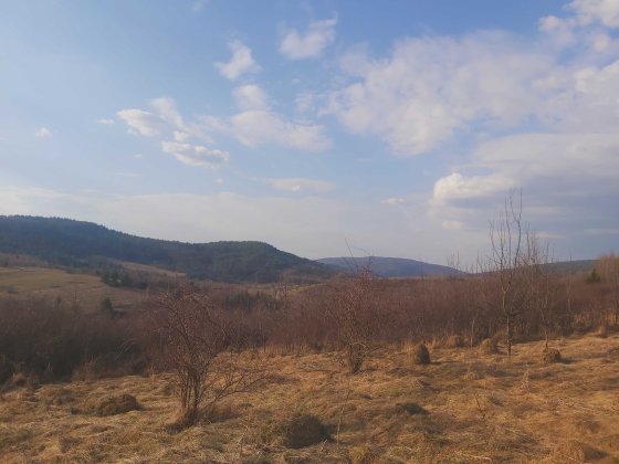 Продам земельні ділянки у Карпатах , неподалік курорту Східниця площа 3,6 га