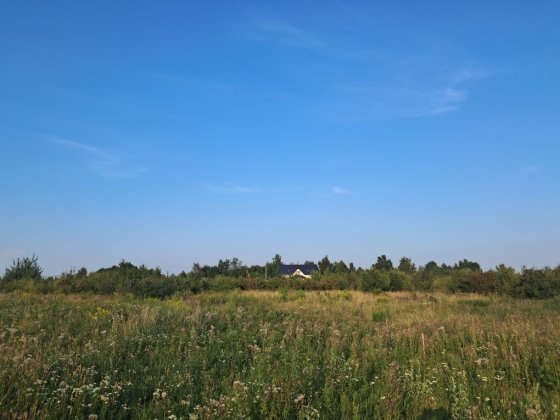 Продаж ділянки в Пустомитах (Містки) Пустомити