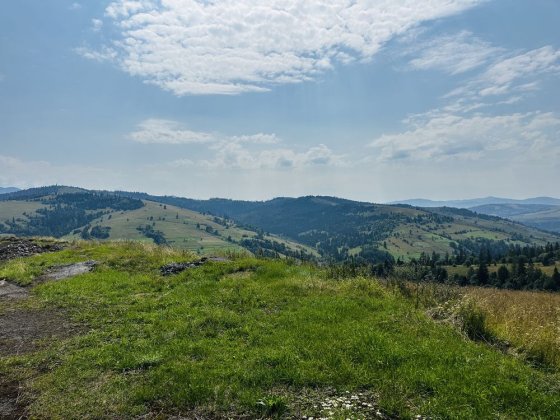 Ціна за сотку 400 до 600$ продаж від 5 соток до 7 га Славське