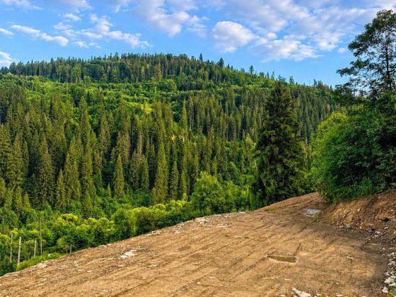 Земельна ділянка від власника Славське