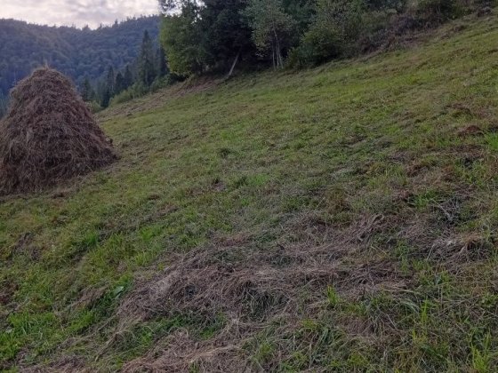 Земельна ділянка в Карпатах Славське