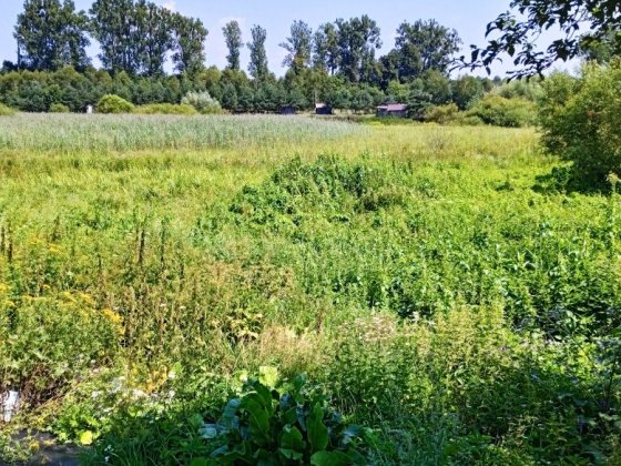 Продам земельну ділянку Городок
