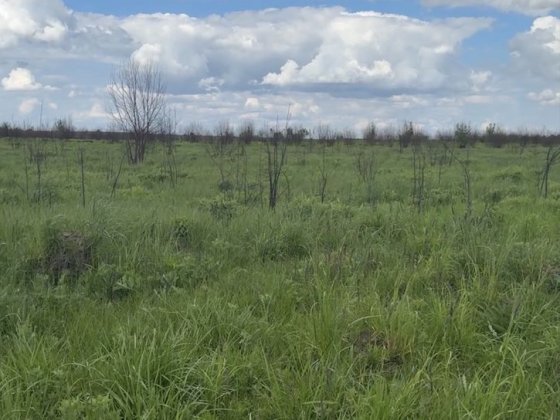 Продається земля Городок бізнес (траса на Кордон ,митниця) Городок