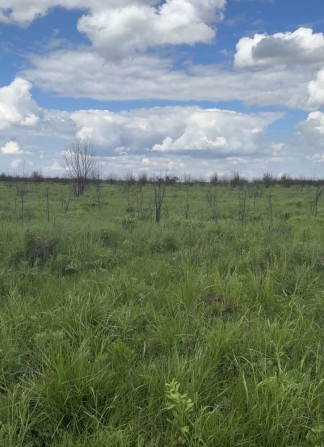 Продається земля Городок бізнес (траса на Кордон ,митниця) - фото 1