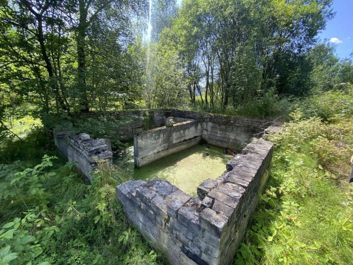 Земля/Садівництво/Моршин/Стрийський,Львівська область - фото 1