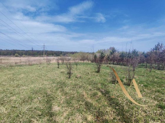 Продаж ділянки під будівництво Рясне - Руське. Без комісії.