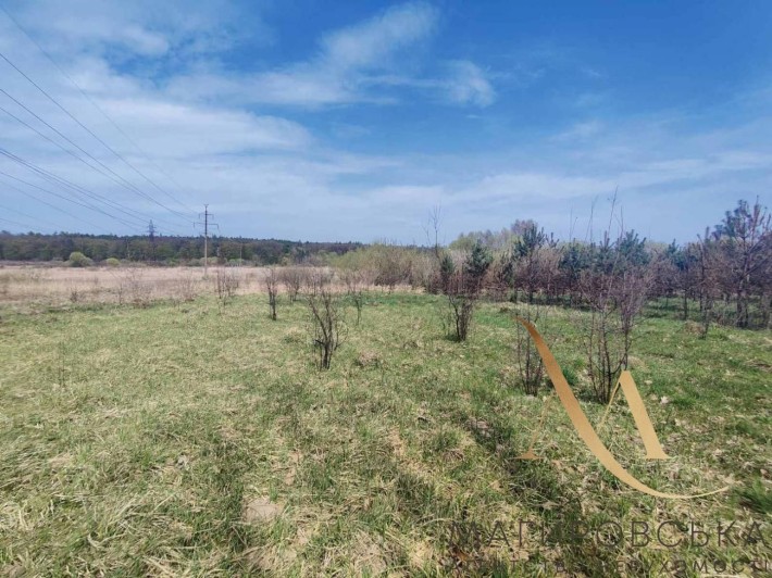 Продаж ділянки під будівництво Рясне - Руське. Без комісії. - фото 1