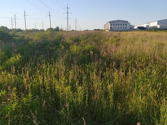 Продаж земельної ділянки Рясне-Руське