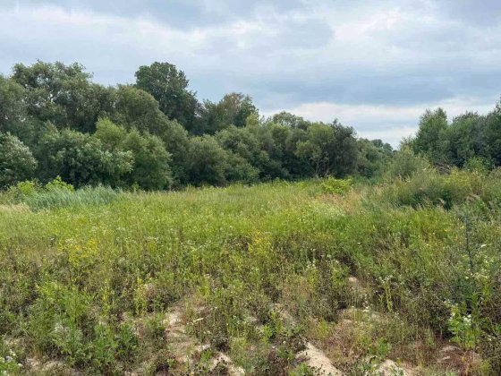Земельна ділянка 8 соток під забудову Рясне-Руська, Львів Рясне-Руське