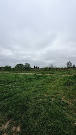 Продаж земельної ділянки в Рясне Руській - фото 1