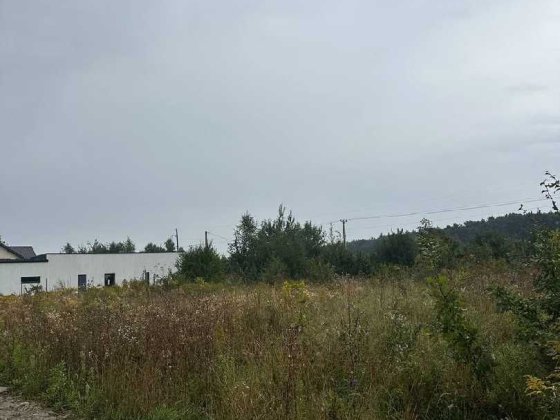 Продаж земельної ділянки в селі Конопниця Конопниця