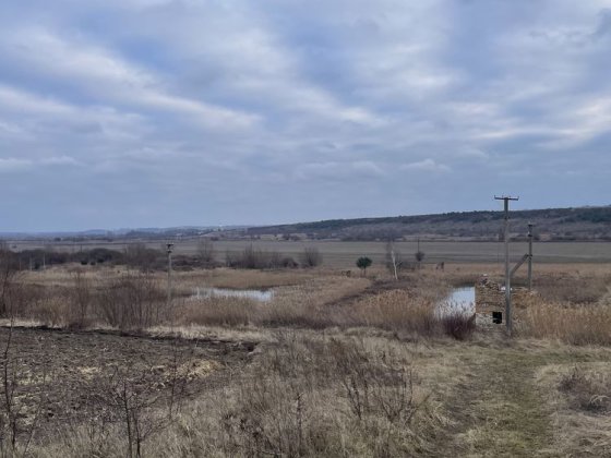 Продам земельну ділянку 5,4 га біля Жовкви