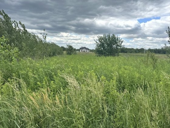 Продаж ділянки в с. Давидів, 13000$ Давидів