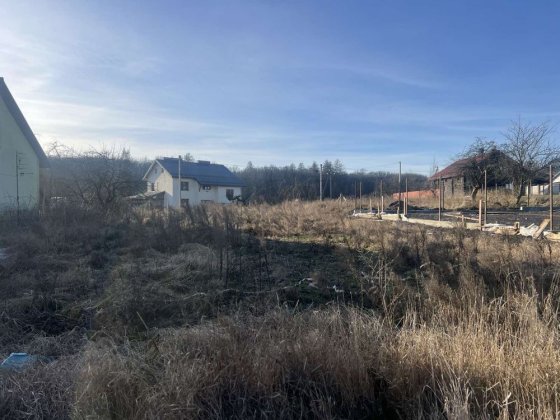 Земельна ділянка під забудову Давидів