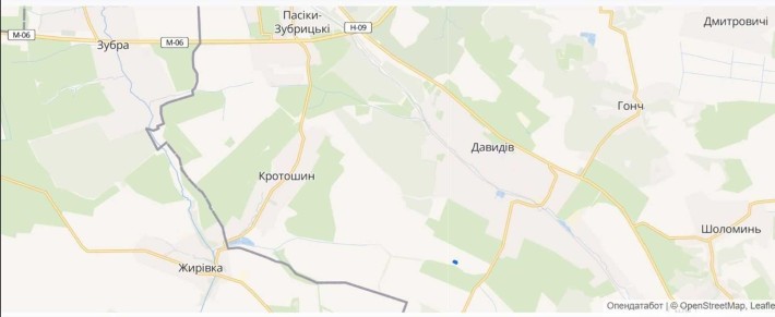 Продається Приваблива Земельна Ділянка у Львівському районі, с.Давидів (10 сотих)! - фото 1