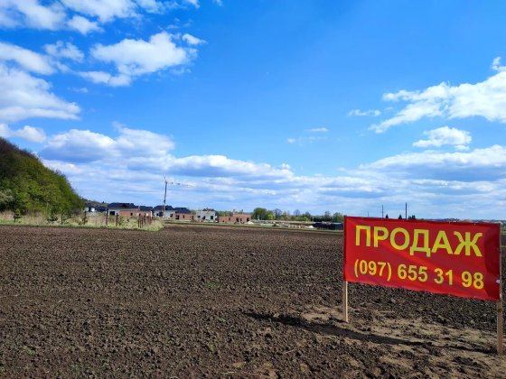 Продаж земельної ділянки 0,1002 га у с. Давидів Львівської обл. - для ведення садівництва, в садовом Давидів