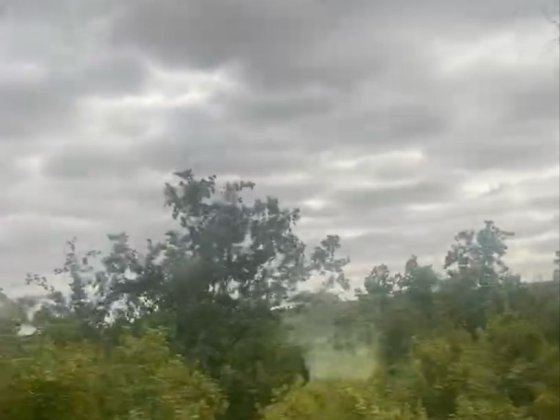 Продам земельну  ділянку /пай земельний