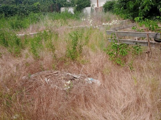 Продам ділянку в кооперативі корабели Каравеллово