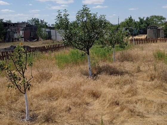 Продам 2 участка не приватизованих в садоводческом кооперативе Весняне