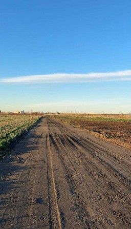 Земельна ділянка 12 соток в Фонтанкі, світло, вода, дорога є - фото 1