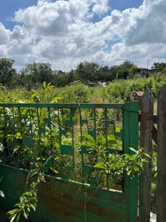 Продам участок в Светлом , новые дачи - фото 1