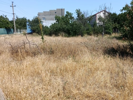 Продам участок с.Светлое, СТ "Свитанок", новые дачи. Світле