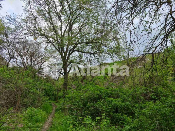 Велика ділянка в Усатовому зі струмком! - фото 1
