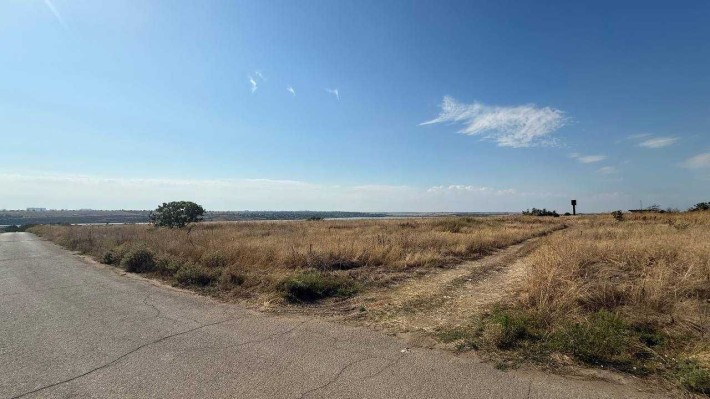 Продажа земли по очень выгодной цене Новая Дофиновка. Лиман/море - фото 1