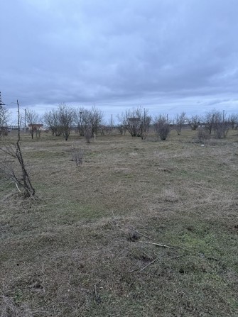 Земельна ділянка с.Молодіжне - фото 1