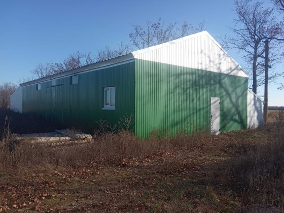 земля сільгосппризначення Біляївка