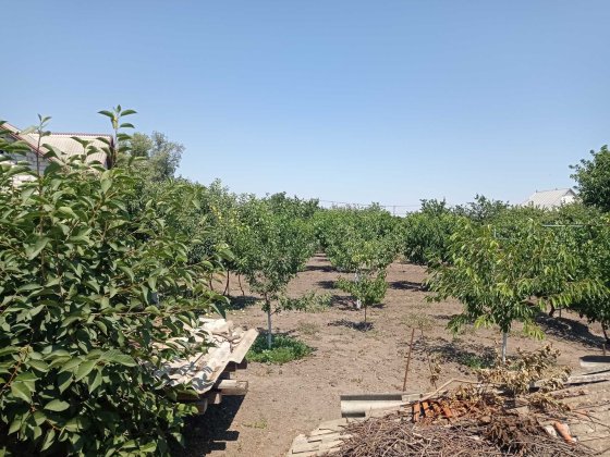 Продам участок в центре Беляевки Беляевка