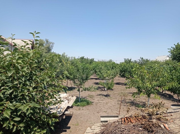 Продам участок в центре Беляевки - фото 1