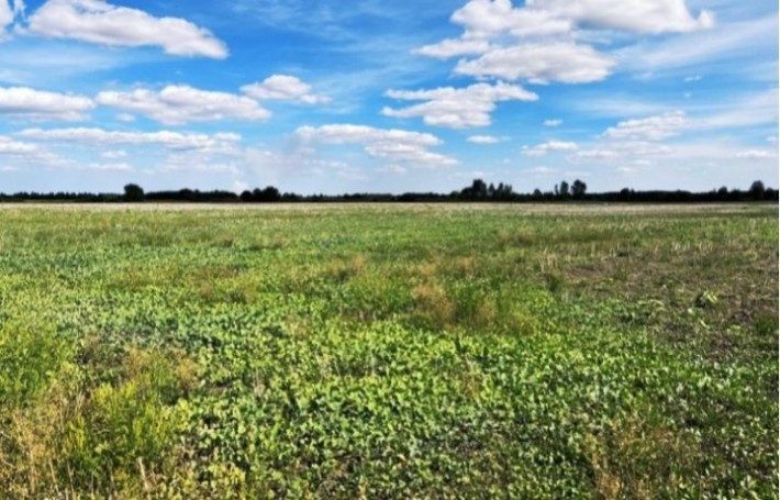Продам участок 8 га Великий Дальник Маяцка трасса Одесса Рени - фото 1