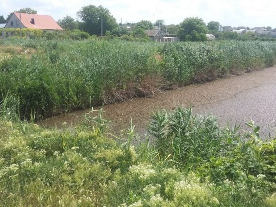 Земельна ділянка на березі пруду 22.5 соток Великий Дальник Великий Дальник