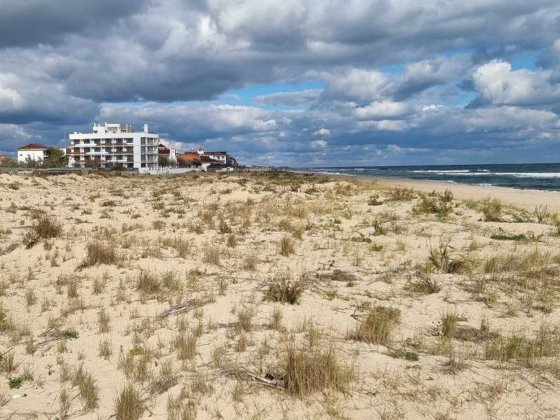 Продам участок в Затоке. Первая линия моря. Затока