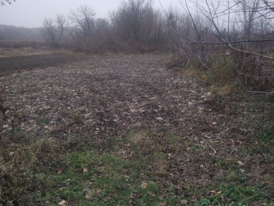 Продам земельну ділянку біля річки 17 соток землі .Документи і кадастровий номер земли присуствуе  д Пирятин