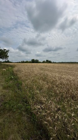 Продам земельну ділянку приватизовану - фото 1