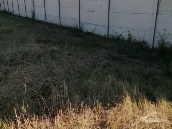Приватизована земельна ділянка Супрунівка