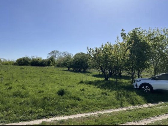 Ідеальна земельна ділянка для власного затишного будинку під Полтавою Супрунівка