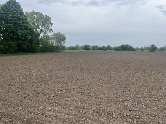 Продам земельну ділянку у Супрунівці Супрунівка