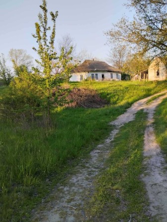 Земельна ділянка біля річки Ворскла - фото 1