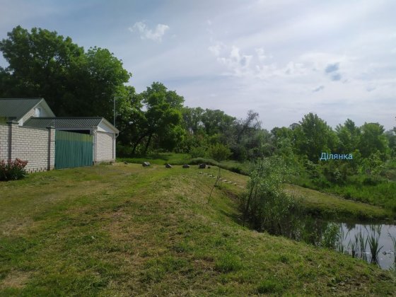 Продам земельний участок.   с.Кривуші. Кривуші