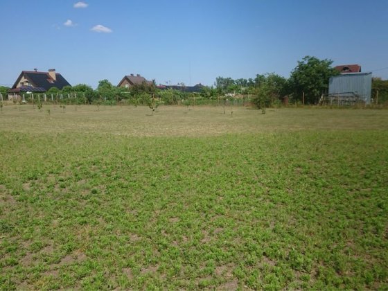 Продаж земельної ділянки Кривуші Кривуші
