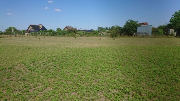 Продаж земельної ділянки Кривуші - фото 1