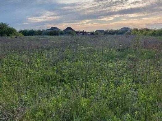 Рибці. Продам земельну ділянку під забудову Гожулы