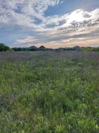 Рибці. Продам земельну ділянку під забудову - фото 1